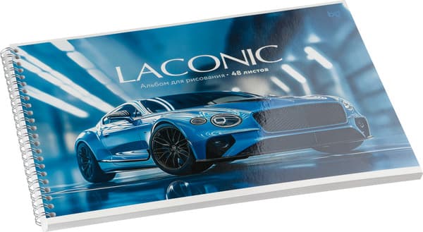 Альбом для рисования BG Laconic А4 / АР4гр48_вл 08650 4