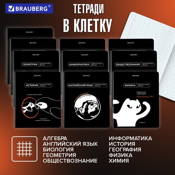 Набор предметных тетрадей Brauberg Мемы / 405172 3