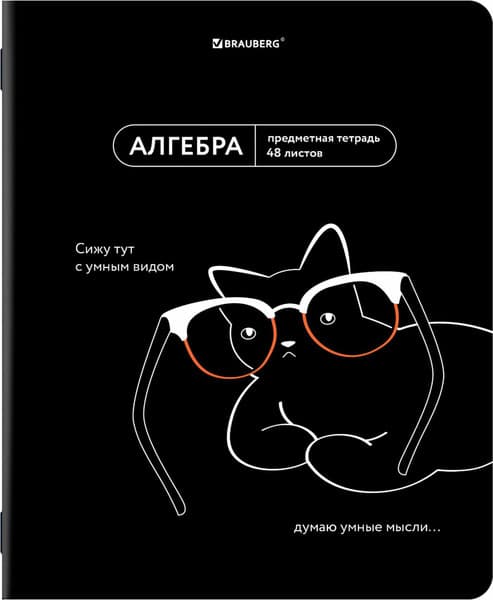 Набор предметных тетрадей Brauberg Мемы / 405172 9