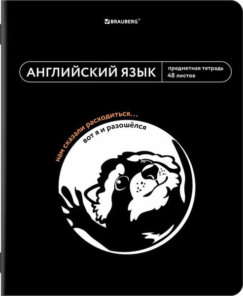 Набор предметных тетрадей Brauberg Мемы / 405172 10