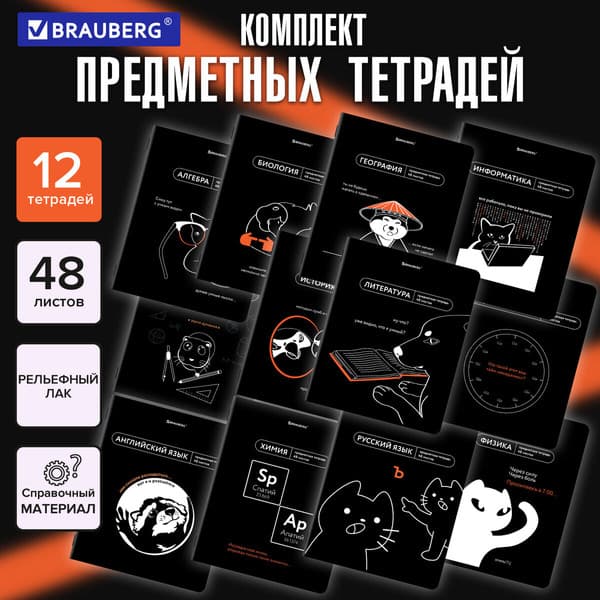 Набор предметных тетрадей Brauberg Мемы / 405172 2