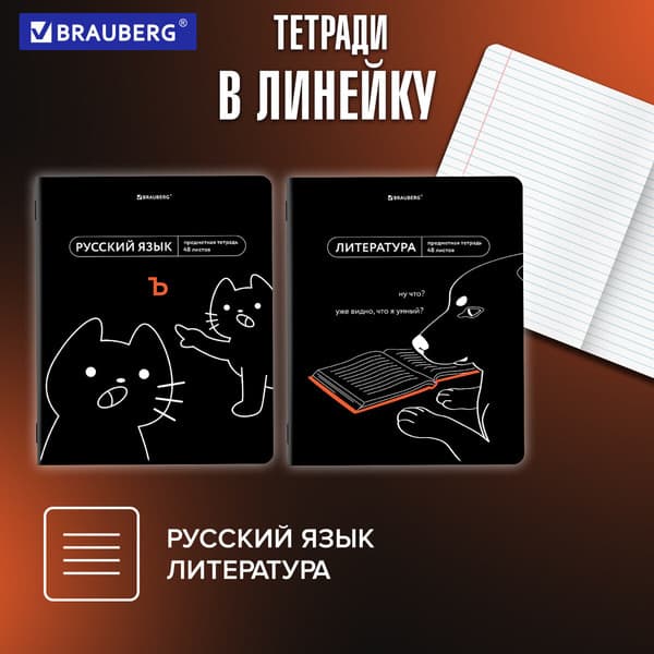 Набор предметных тетрадей Brauberg Мемы / 405172 4