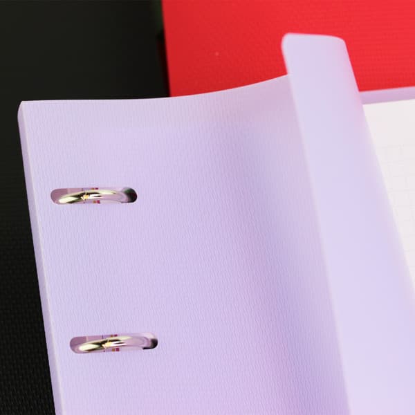 Тетрадь Listoff My Notebook. No 1 / ПБП1205109 2