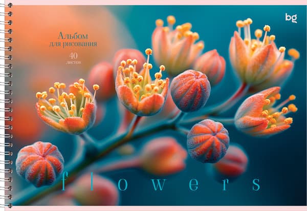 Альбом для рисования BG Macro flowers / АР4гр40 08642 3