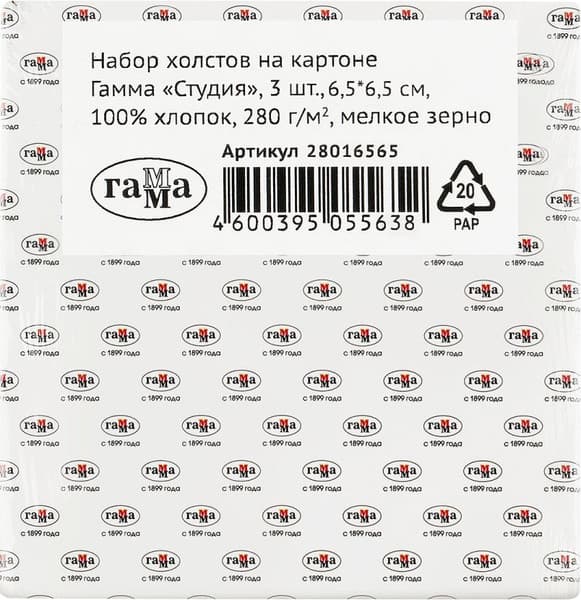 Набор холстов для рисования ГАММА Студия / 28016565 6