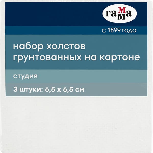 Набор холстов для рисования ГАММА Студия / 28016565