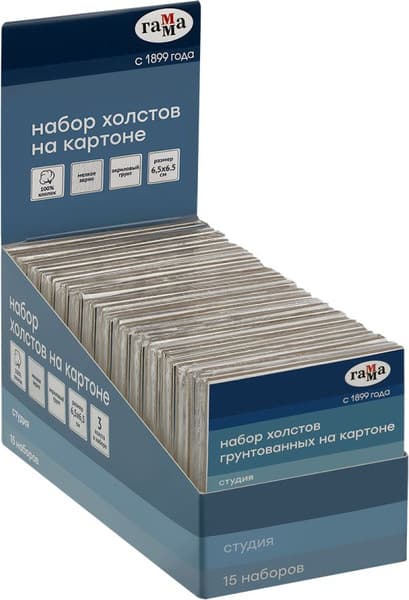 Набор холстов для рисования ГАММА Студия / 28016565 8