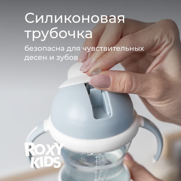 Поильник ROXY-KIDS RFD-008-BI