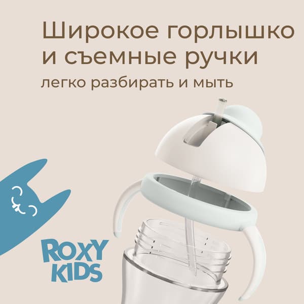 Поильник ROXY-KIDS RFD-008-GI 6