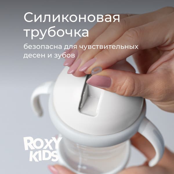 Поильник ROXY-KIDS RFD-008-GI 3