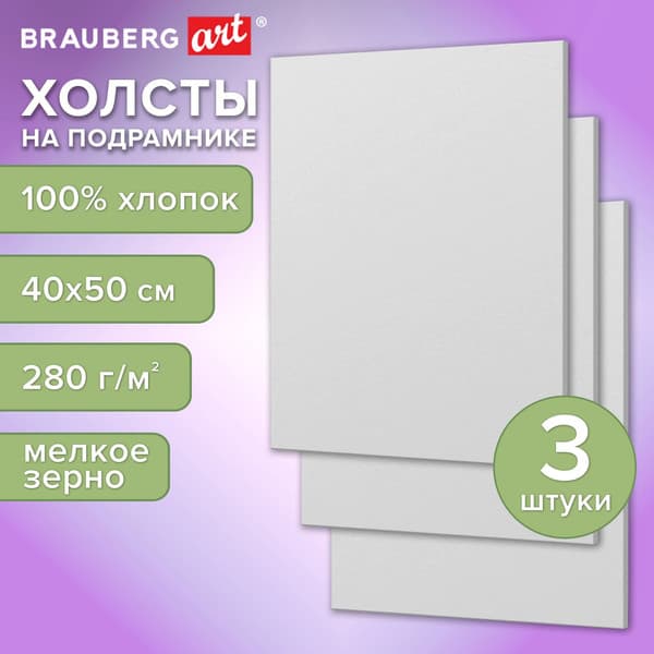 Набор холстов для рисования Brauberg Art Basic / 192678 2