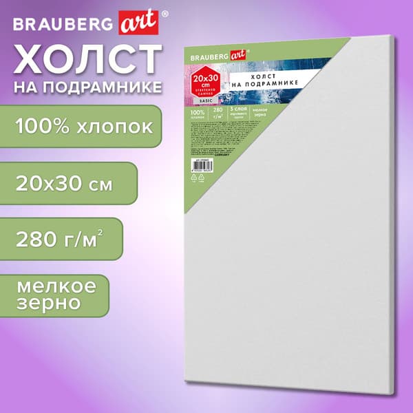 Набор холстов для рисования Brauberg Art Basic / 192665 2
