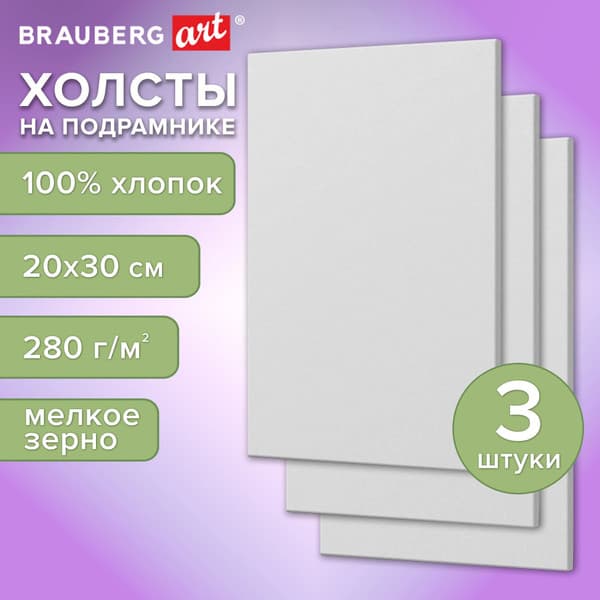 Набор холстов для рисования Brauberg Art Basic / 192676 2