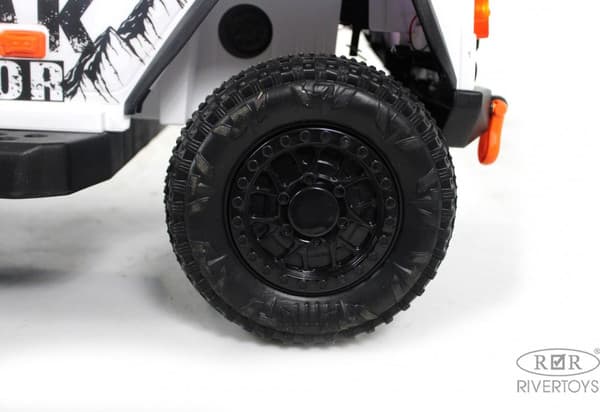 Детский автомобиль RiverToys G009GG 8