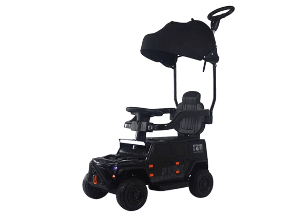 Детский автомобиль RiverToys G009GG