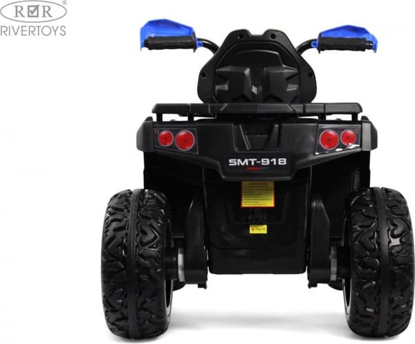 Детский квадроцикл RiverToys E009EE 5