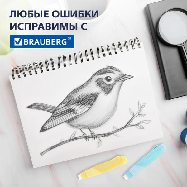 Набор ластиков Brauberg 272687 5