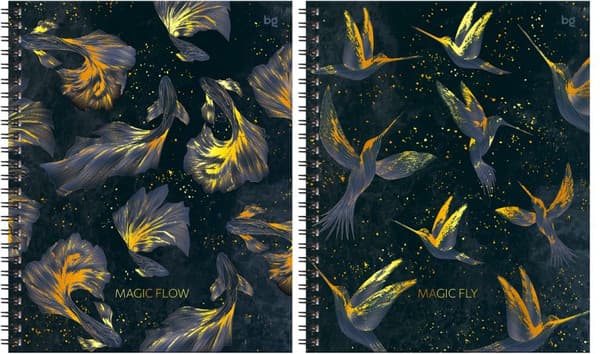 Тетрадь BG Magic flow / ТТ5гр120_лг_тф 67200 2