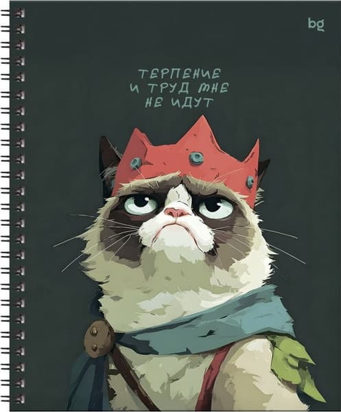 Тетрадь BG Не царское дело / ТТ5гр80_лг 67194 3