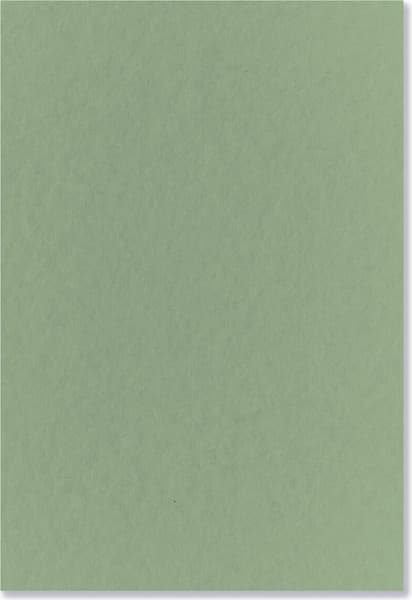 Набор бумаги для рисования Brauberg Art 116346 6