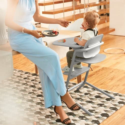 Стульчик для кормления Cybex Lemo 4