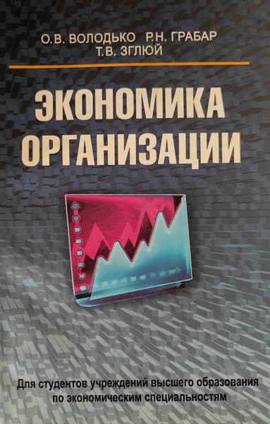 Учебное пособие Вышэйшая школа Экономика организации
