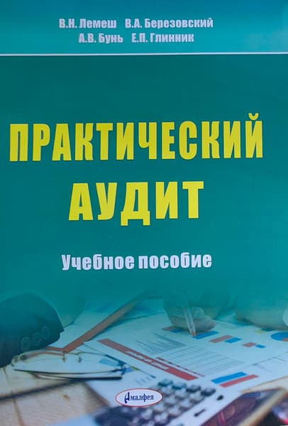Учебное пособие Амалфея Практический аудит
