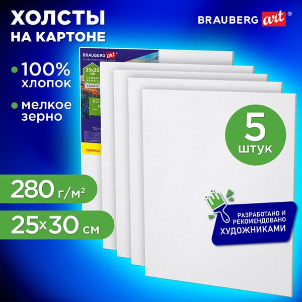 Набор холстов для рисования Brauberg Art Classic / 192652 2