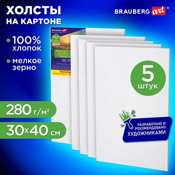 Набор холстов для рисования Brauberg Art Classic / 192654 6