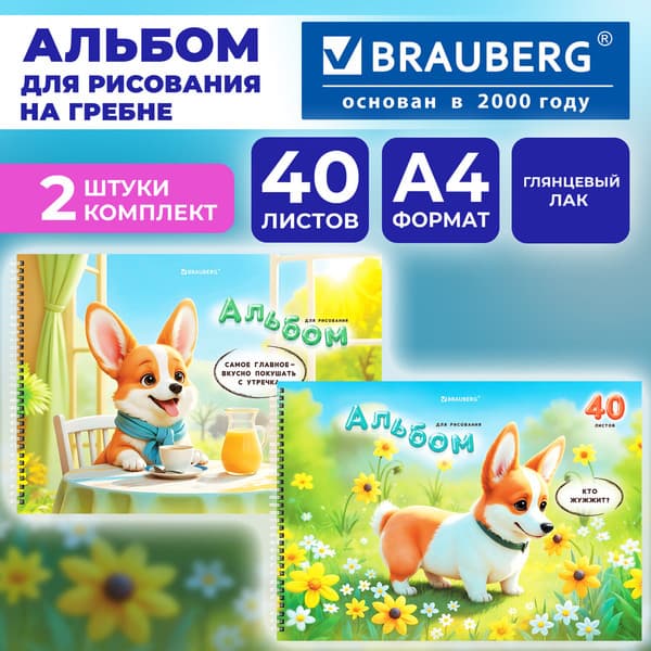 Набор альбомов для рисования Brauberg Корги / 107739 2