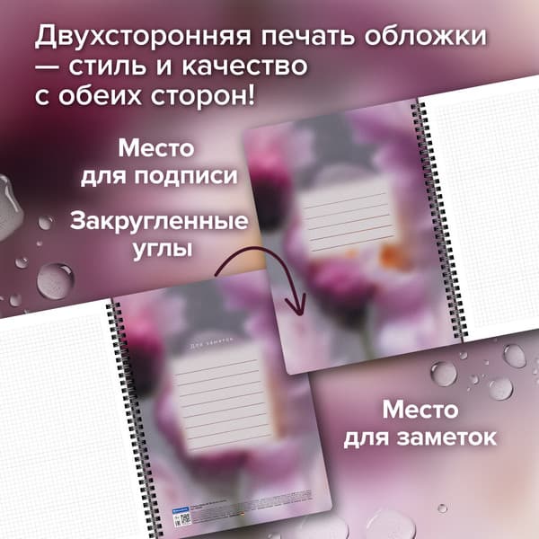 Набор тетрадей Brauberg Aesthetics / 405586 6