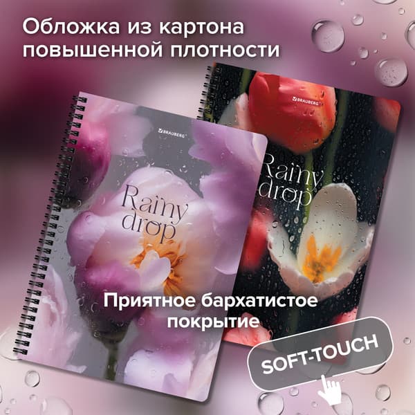 Набор тетрадей Brauberg Aesthetics / 405586 5