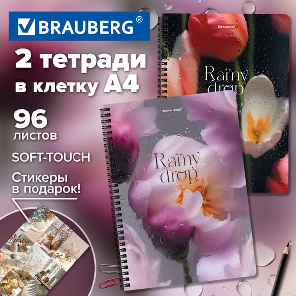 Набор тетрадей Brauberg Aesthetics / 405586 2