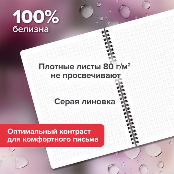 Набор тетрадей Brauberg Aesthetics / 405586 4