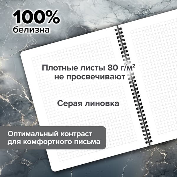 Набор тетрадей Brauberg Black Classic / 405581 6