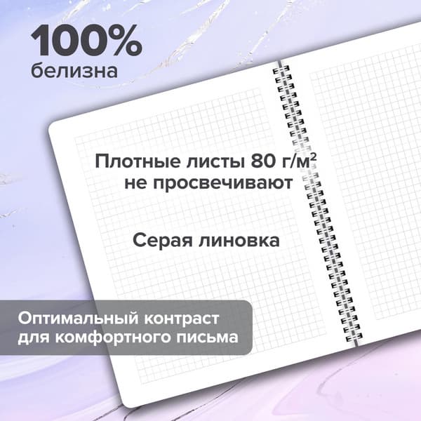 Набор тетрадей Brauberg Minimal / 405582 3