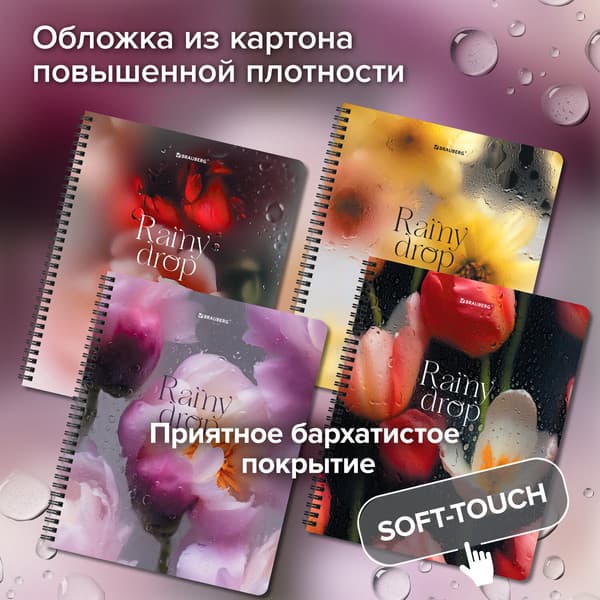 Набор тетрадей Brauberg Aesthetics / 405583 4
