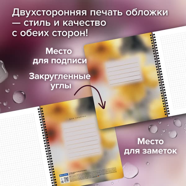 Набор тетрадей Brauberg Aesthetics / 405583 5