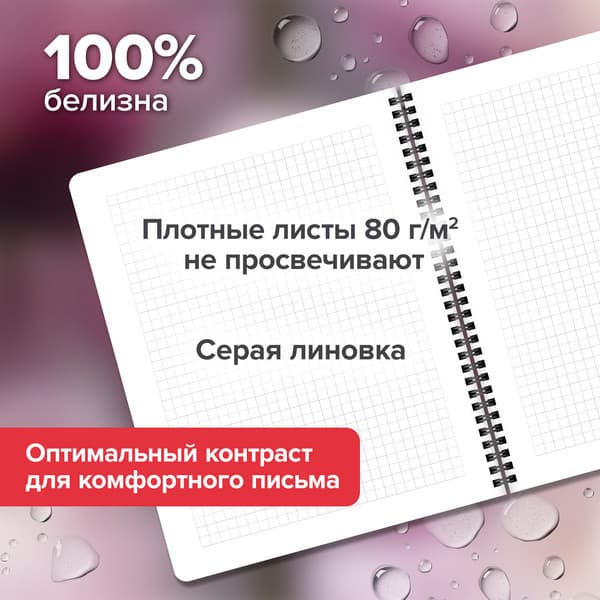 Набор тетрадей Brauberg Aesthetics / 405583 3