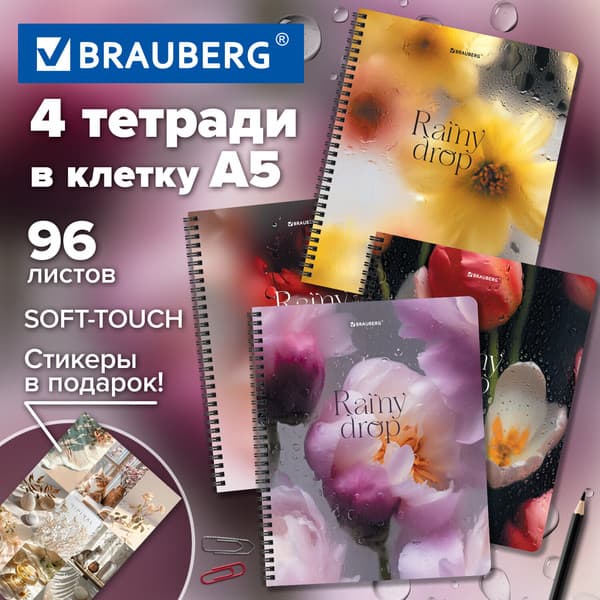 Набор тетрадей Brauberg Aesthetics / 405583 2