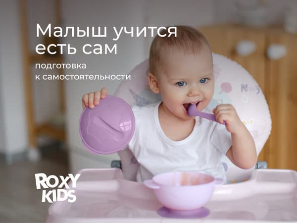 Набор посуды для кормления ROXY-KIDS RFD-003-V с нагрудником Сладкие щечки / RBN-402L 8