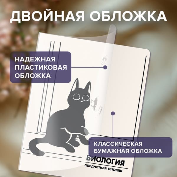 Набор предметных тетрадей Brauberg Кот-непоседа / 405542 3