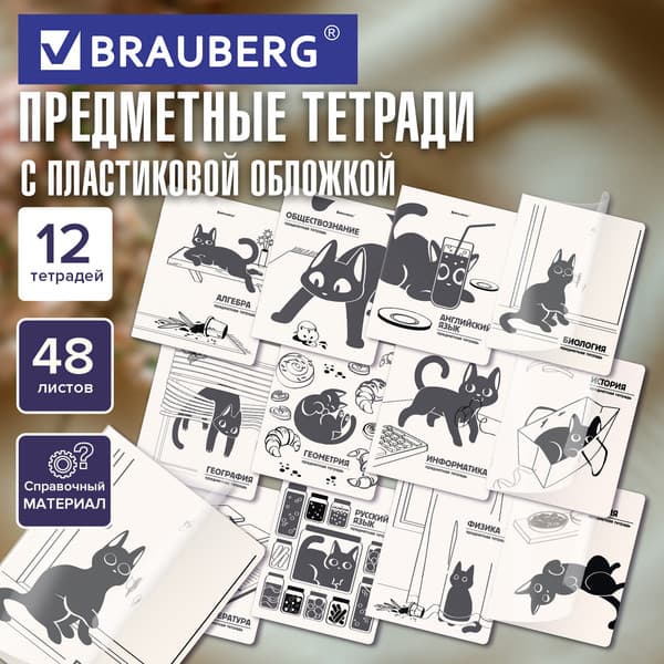 Набор предметных тетрадей Brauberg Кот-непоседа / 405542 2