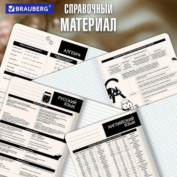 Набор предметных тетрадей Brauberg Кот-непоседа / 405542 5