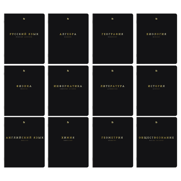 Набор предметных тетрадей Brauberg Black Gold / 405602