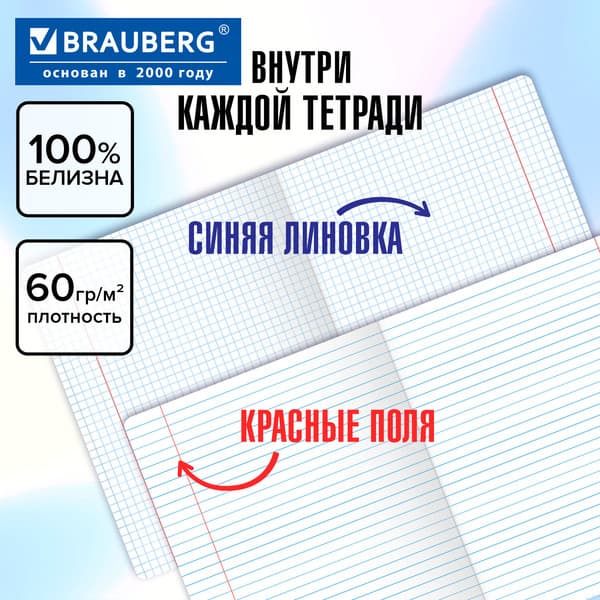 Набор предметных тетрадей Brauberg Black Gold / 405602 6