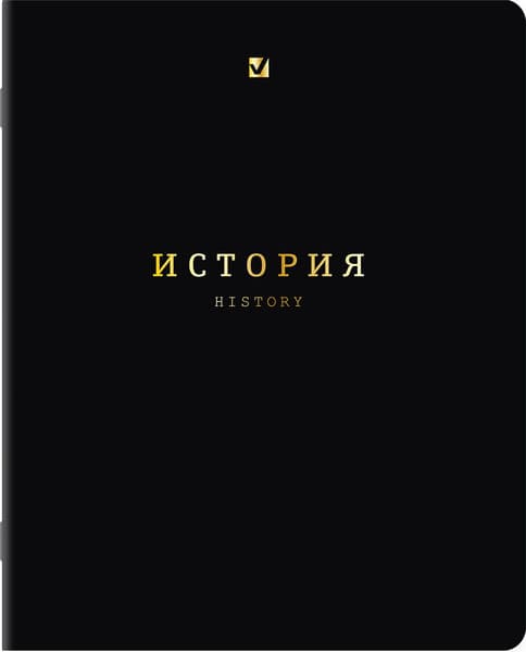 Набор предметных тетрадей Brauberg Black Gold / 405602 9