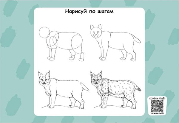 Альбом для рисования Проф-Пресс Милая рысь / 24-7509 3