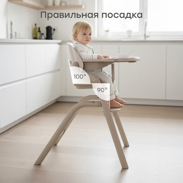 Стульчик для кормления Happy Baby Charley 91046 6