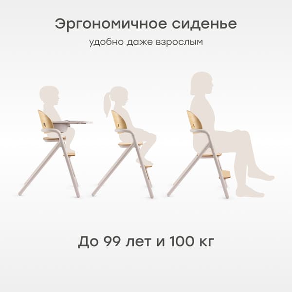 Стульчик для кормления Happy Baby Vincent 9